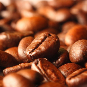 Arabica a robusta – czym różnią się dwa najpopularniejsze gatunki kawy?