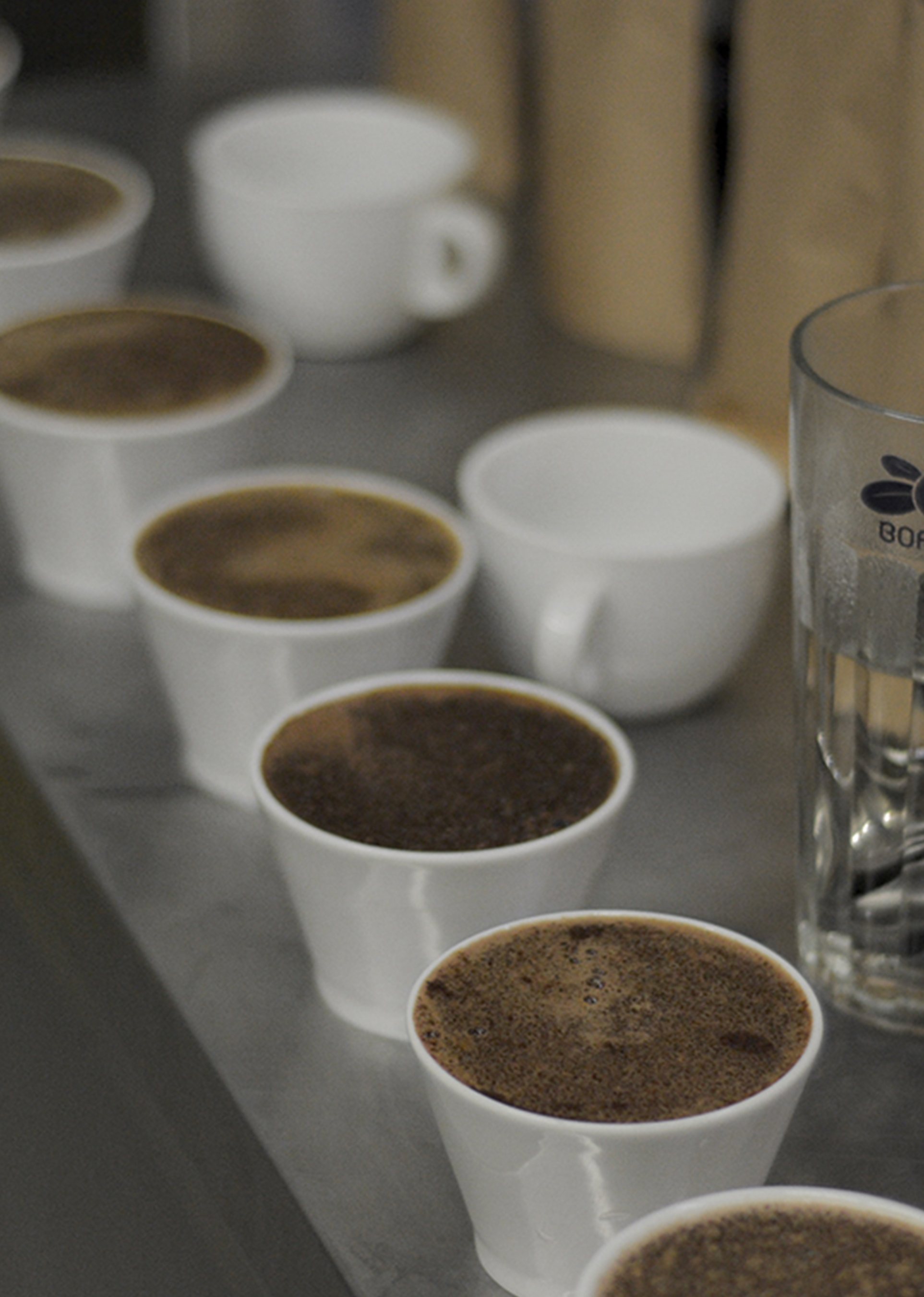 Siorbing, czyli cupping - sztuka oceniania kawy
