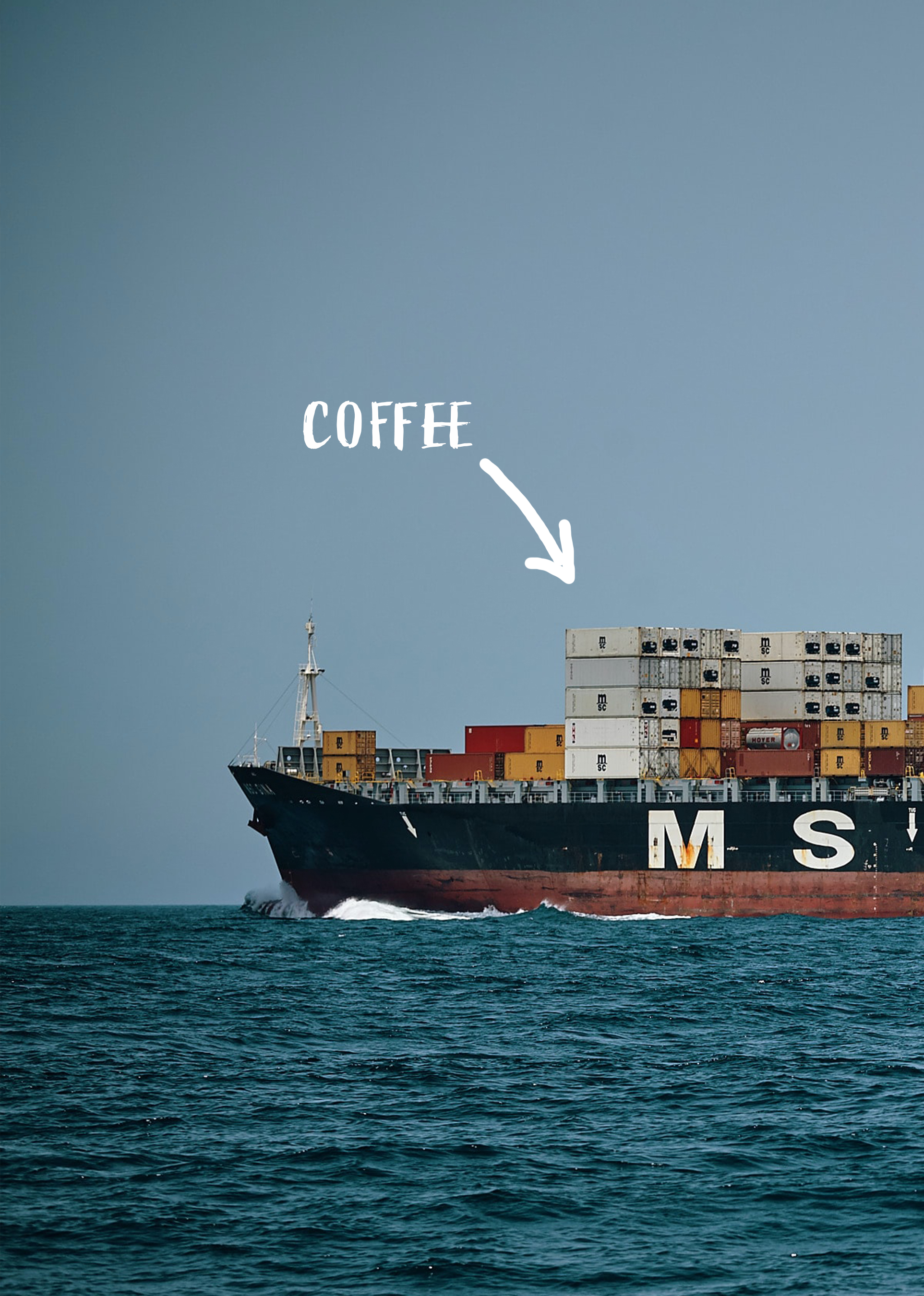 Kawy podróż przez 7 oceanów i mórz -  Jak transportuje się kawę?